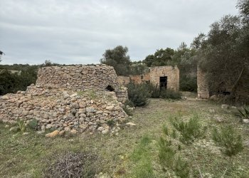 IMG_2755.jpg - Villa SP286 102, Nardò - foto 15