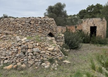 IMG_2756.jpg - Villa SP286 102, Nardò - foto 16