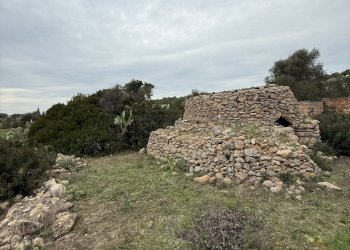 IMG_2757.jpg - Villa SP286 102, Nardò - foto 17