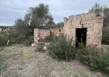 IMG_2758.jpg - Villa SP286 102, Nardò - foto 18