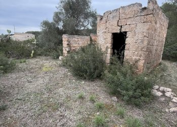 IMG_2759.jpg - Villa SP286 102, Nardò - foto 19