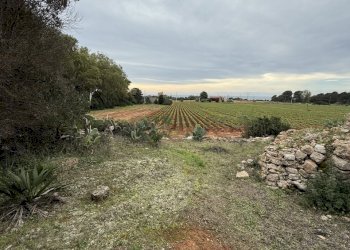 IMG_2760.jpg - Villa SP286 102, Nardò - foto 20