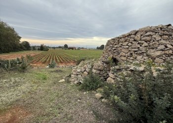 IMG_2761.jpg - Villa SP286 102, Nardò - foto 21