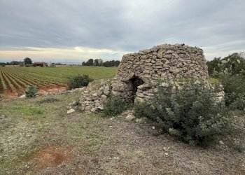 IMG_2762.jpg - Villa SP286 102, Nardò - foto 22