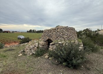 IMG_2763.jpg - Villa SP286 102, Nardò - foto 23