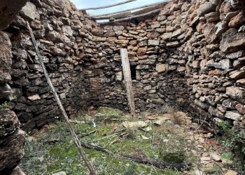 IMG_2764.jpg - Villa SP286 102, Nardò - foto 24