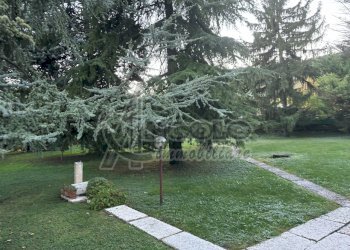 IMG_4718.jpeg - Villa Via Stelio Fenzo 3, Verona - foto 9