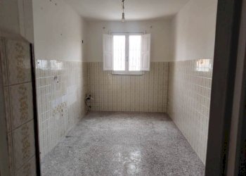 PHOTO-2026-01-05-12-31-38.jpg - Appartamento Via col di lana 3B, Bari - foto 5