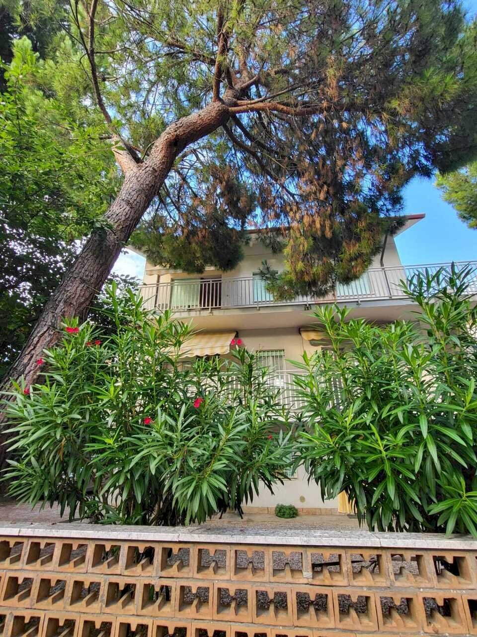 WhatsApp Image 2026-01-29 at 13.31.11 (5).jpeg - Quadrilocale via GIUNONE 14, Cervia - foto 3