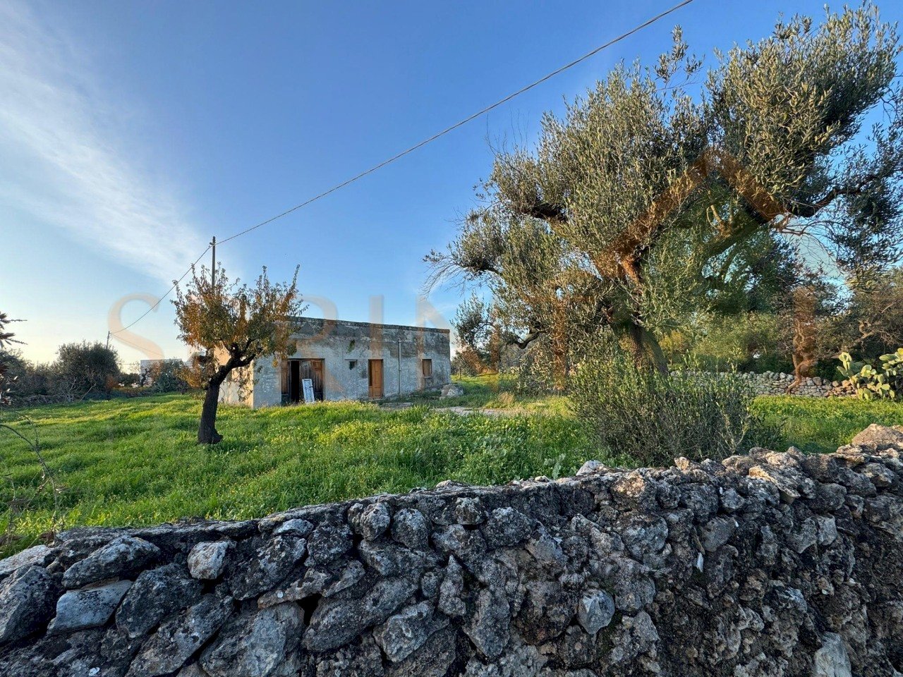 principale.jpg - Independent house C.da Conchia, Monopoli - photo 1