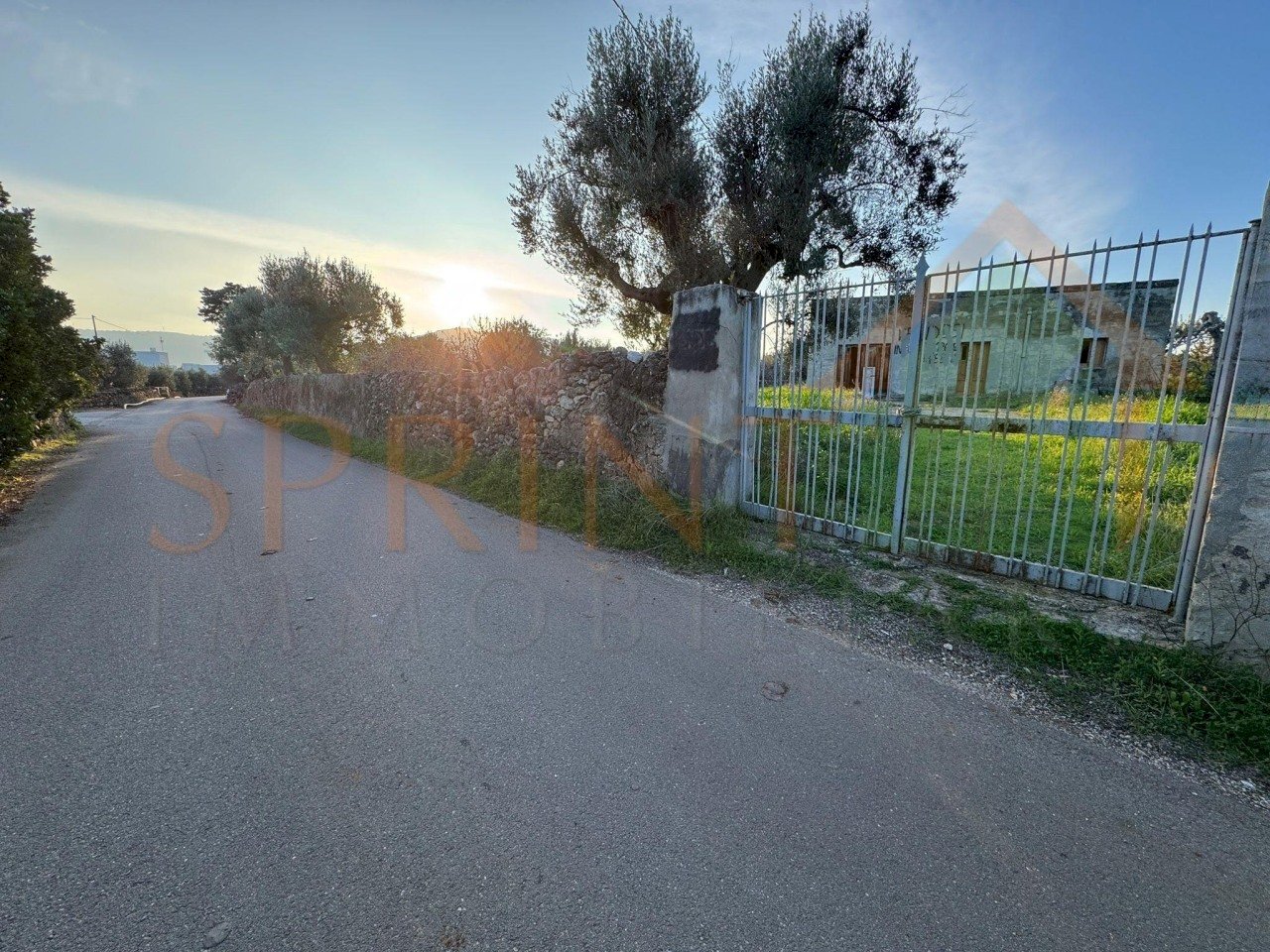 Immagine WhatsApp 2025-12-16 ore 09.27.19_a0e5ac34 - Independent house C.da Conchia, Monopoli - photo 2