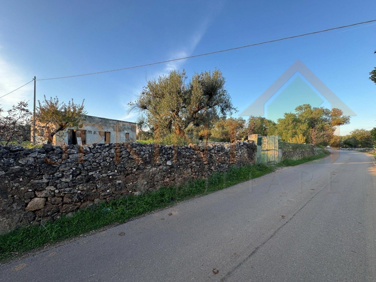 Immagine WhatsApp 2025-12-16 ore 09.27.19_b27cab69 - Independent house C.da Conchia, Monopoli - photo 3