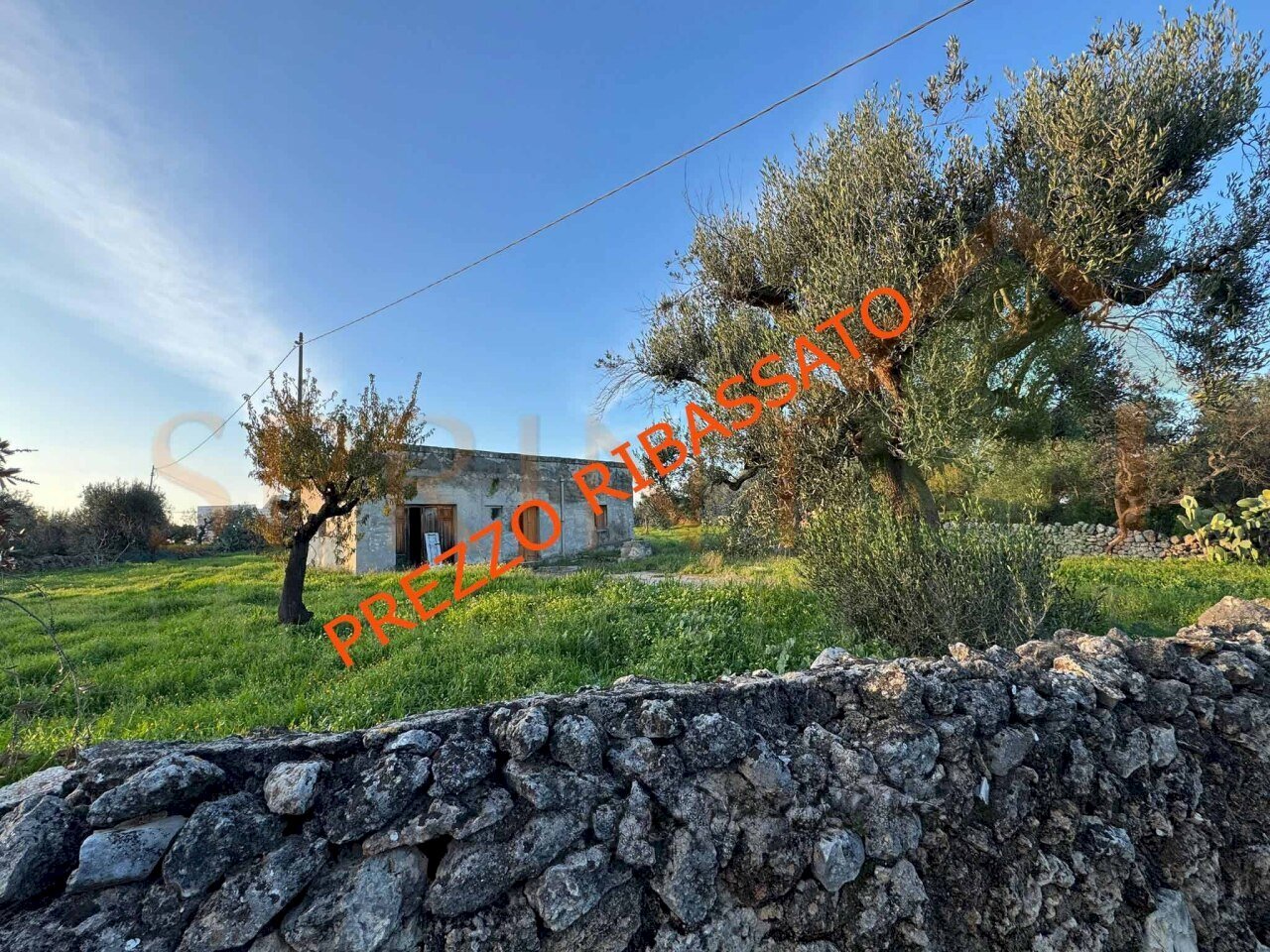 principale  PREZZ RIB .jpg - Independent house C.da Conchia, Monopoli - photo 1