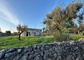 principale.jpg - Independent house C.da Conchia, Monopoli - photo 1