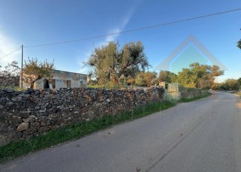 Immagine WhatsApp 2025-12-16 ore 09.27.19_b27cab69 - Independent house C.da Conchia, Monopoli - photo 3