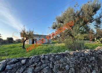 principale  PREZZ RIB .jpg - Casa indipendente C.da Conchia, Monopoli - foto 1