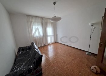 20260103_104141.jpg - Appartamento Borsea RO, Rovigo - foto 4