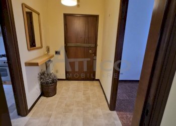 20260103_104219.jpg - Appartamento Borsea RO, Rovigo - foto 7