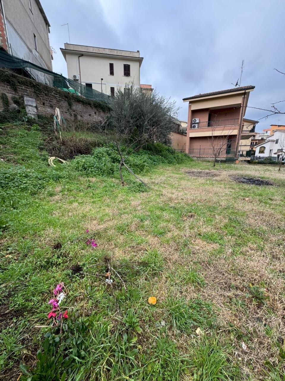 WhatsApp Image 2026-01-07 at 15.50.08.jpeg - Terreno edificabile Via delle Cerquete, Roma - foto 3