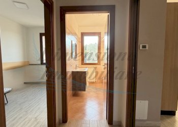 photo_3_2026-01-07_22-35-40.jpg - Trilocale Via Ferruccio Parri, Rosignano Marittimo - foto 14