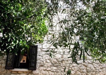 IMG_2311.JPG - Villa Ctr. Pirato Cava Maria 37, Modica - foto 15