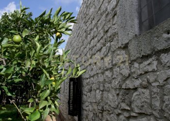 IMG_2310.JPG - Villa Ctr. Pirato Cava Maria 37, Modica - foto 16