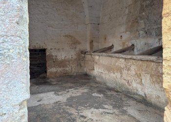 WhatsApp Image 2025-12-18 at 10.45.55 (2).jpeg - Independent house SP296 54, Trepuzzi - photo 12