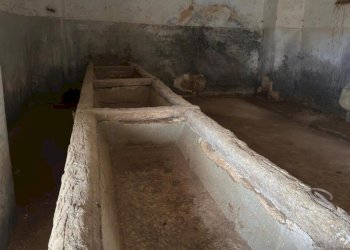 WhatsApp Image 2025-12-18 at 10.45.56 (1).jpeg - Independent house SP296 54, Trepuzzi - photo 15