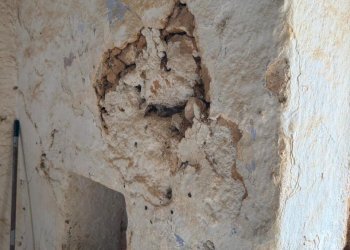 WhatsApp Image 2025-12-18 at 10.45.56 (2).jpeg - Independent house SP296 54, Trepuzzi - photo 16