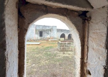 WhatsApp Image 2025-12-18 at 10.45.56 (3).jpeg - Independent house SP296 54, Trepuzzi - photo 17