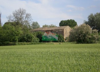 P5180368.JPG - Casale Ravenna - foto 2