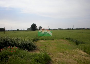 P5180344.JPG - Casale Ravenna - foto 8