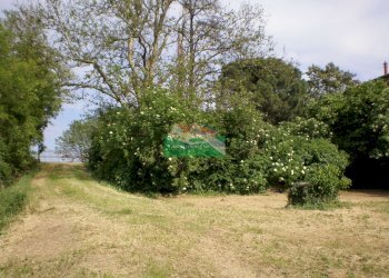 P5180345.JPG - Casale Ravenna - foto 9