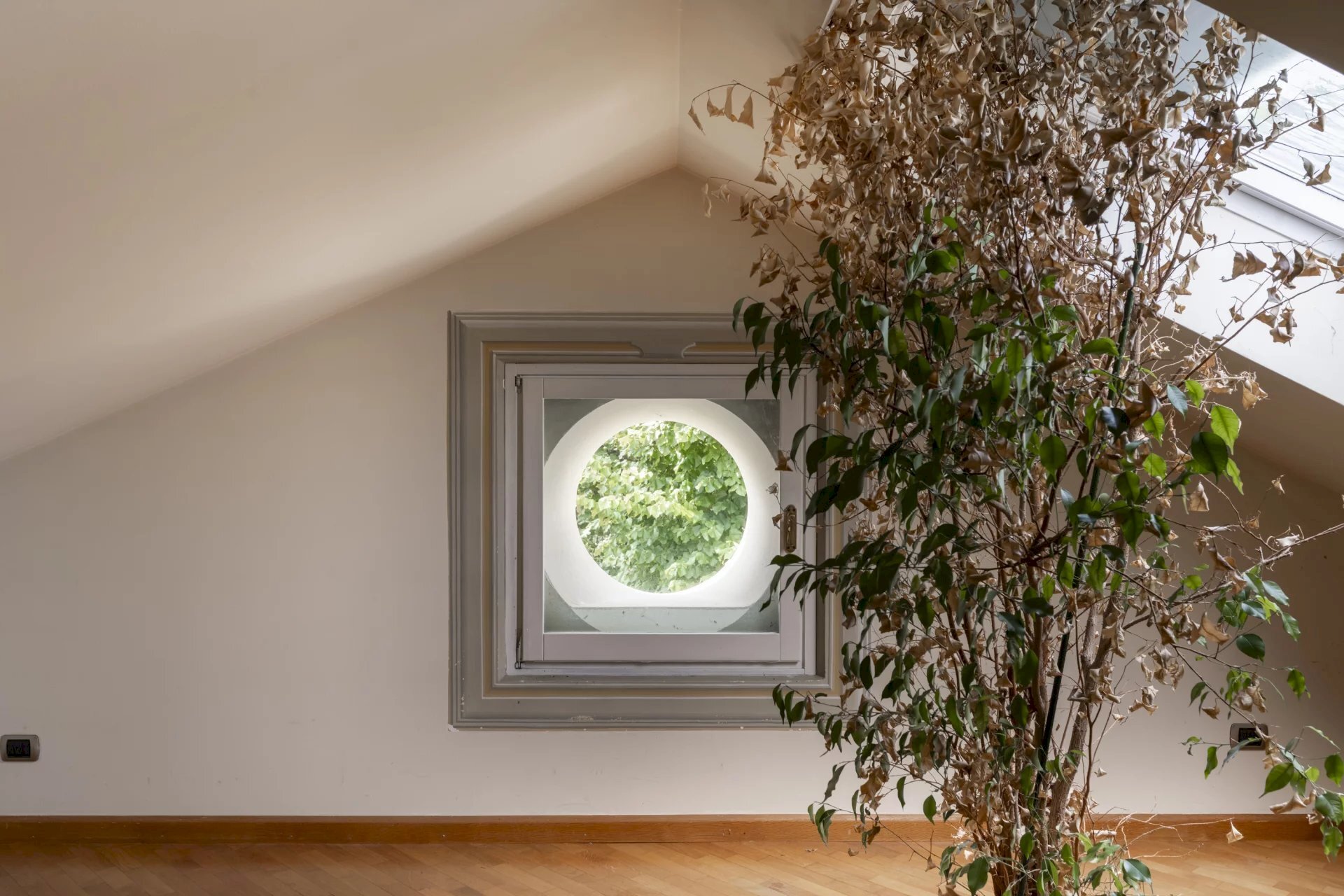 Attico Torino - foto 3