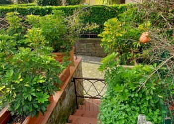 Appartamento Pitigliano - foto 38