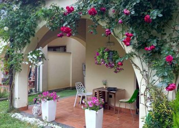 Villa a Schiera Usmate Velate - foto 31