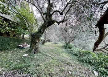 Rustico Frazione Villarelli, Stellanello - foto 6