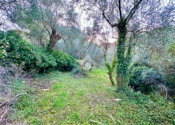 Rustico Frazione Villarelli, Stellanello - foto 7
