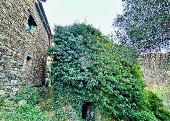 Rustico Frazione Villarelli, Stellanello - foto 8