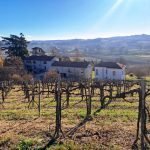 Agricultural land Cremolino - photo 1