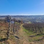 Agricultural land Cremolino - photo 3