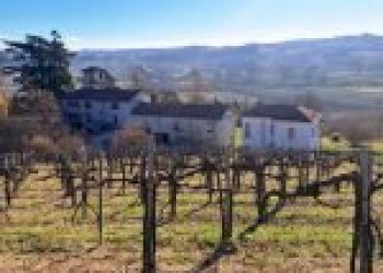 Terreno agricolo Cremolino - foto 1