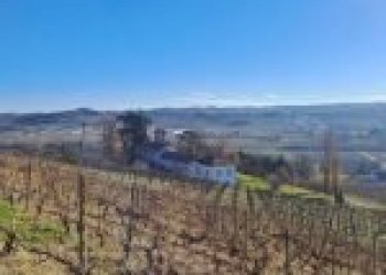 Terreno agricolo Cremolino - foto 4