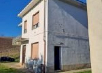 Terreno agricolo Cremolino - foto 10