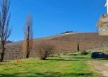 Terreno agricolo Cremolino - foto 24