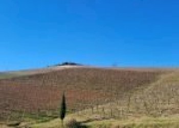 Terreno agricolo Cremolino - foto 26