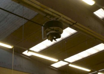 Shed Caselette - photo 6