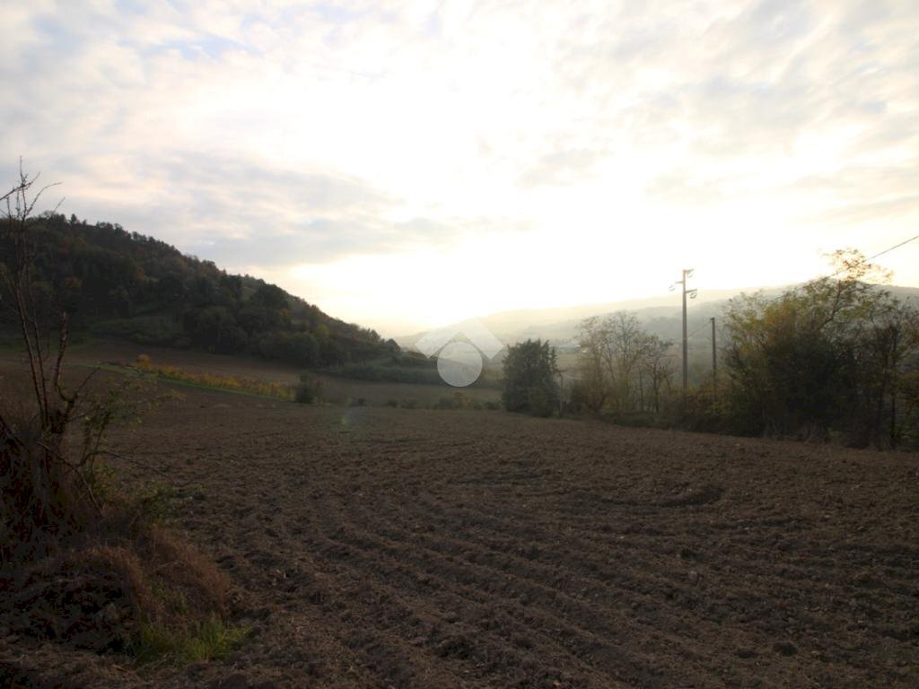 Agricultural land Via Candiano, Cesena - photo 3