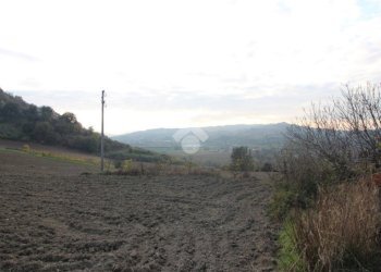 Agricultural land Via Candiano, Cesena - photo 2