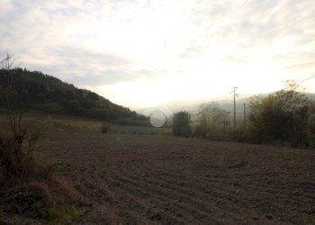 Agricultural land Via Candiano, Cesena - photo 3